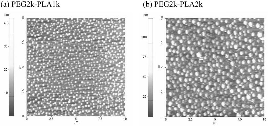 Y.-K. Lee et al. measurements to have a round shape (Figure 5). The size of the polymer micelles with or without QDs encapsulated was measured by dynamic light scattering (Figure 6).