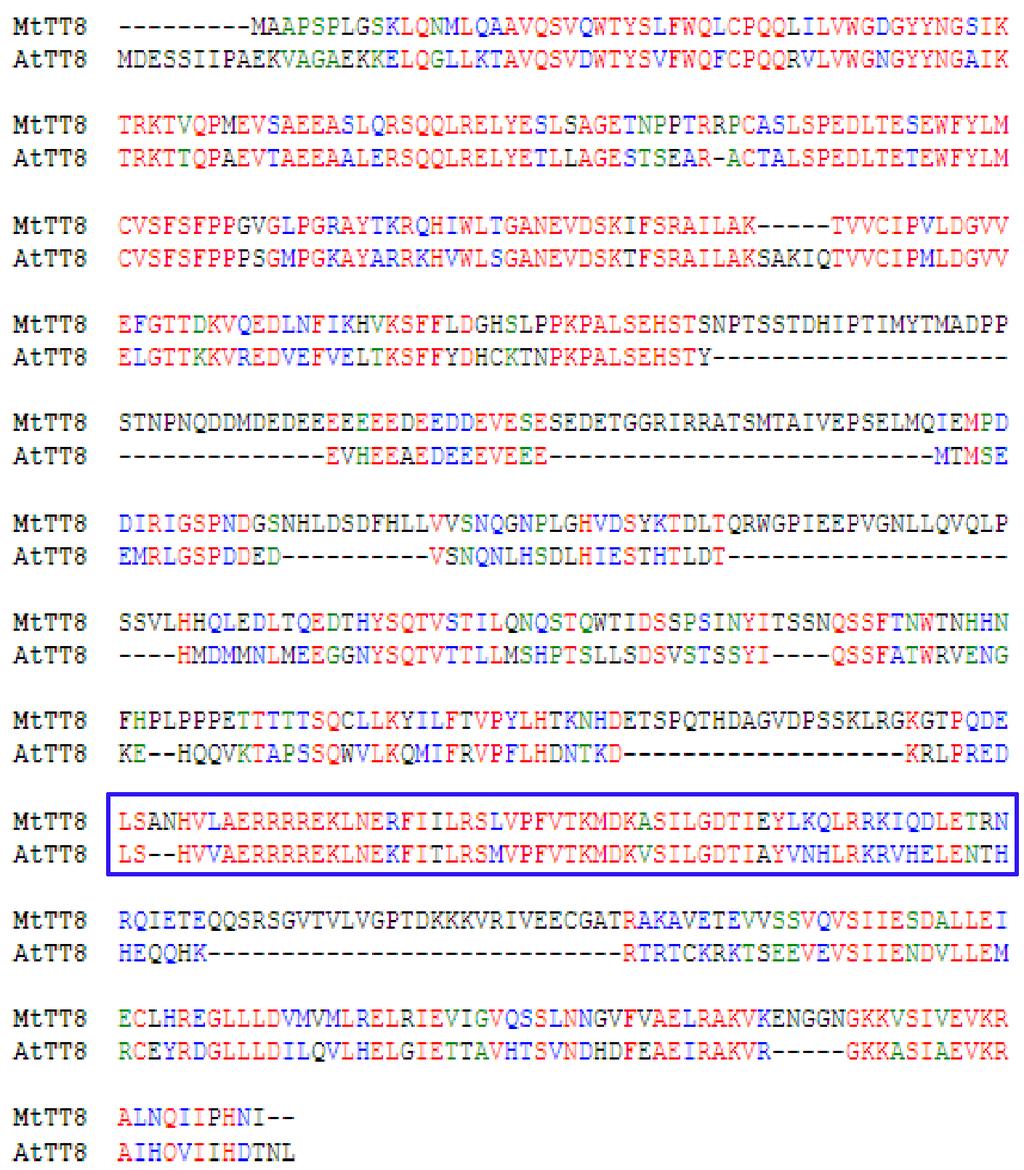 Fig. S1 The amino acid sequence comparison between MtTT8 with Arabidopsis TT8 protein.
