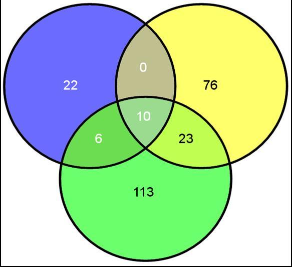 Fig. S6 Venn diagram with the number of shared and unique genes differentially down-regulated among mttt8, mtpar, and mtwd40-1 mutants.