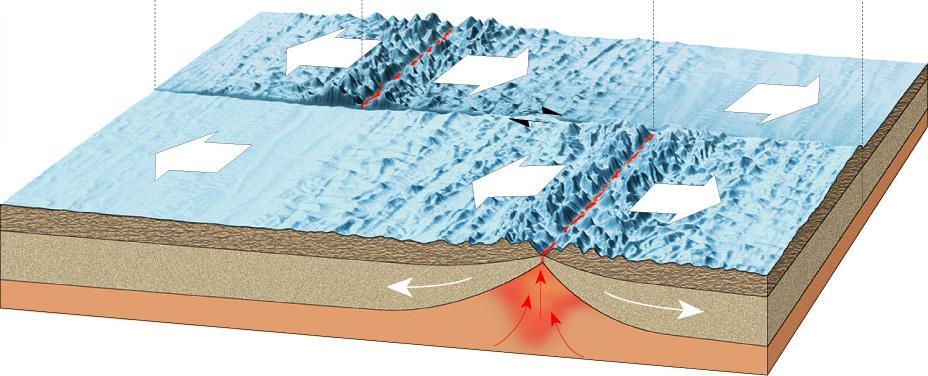 Transform Fault Boundaries Transform faults Most join two segments of a mid-ocean ridge.