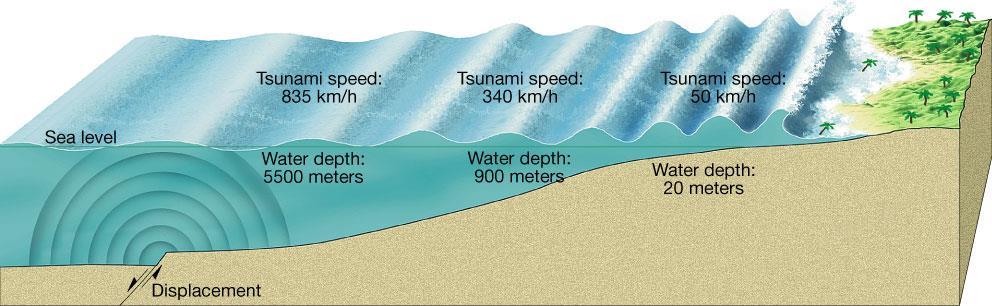 Tsunamis A tsunami triggered by an earthquake occurs where a