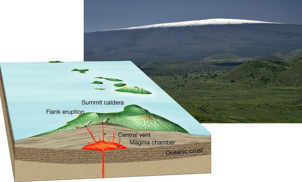 Types of Volcanoes Shield Volcanoes Shield