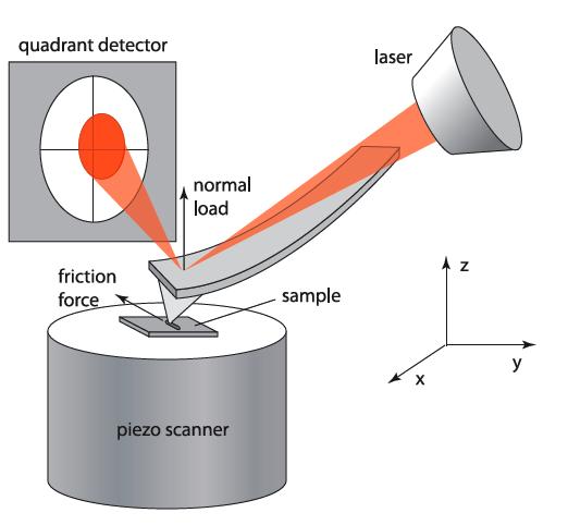 AFM s can measure