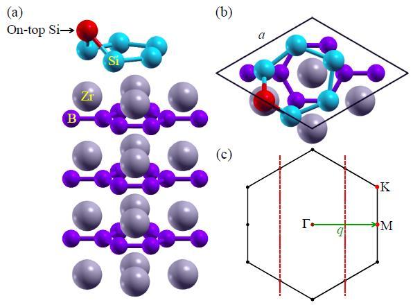 Phonon dispersion of silicene on ZrB 2 C-