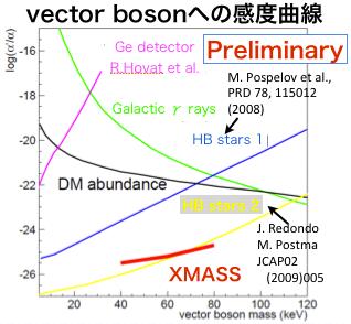 Bosonic super-wimps search It is a candidate of the warm DM.