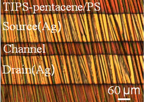 Fig. S9 XRD patterns for TIPS-pentacene/PS film drop-casted on cross-linked styrenic polymer dielectric layer Fig. S10 The top-view polarized optical micrograph of the device 2.