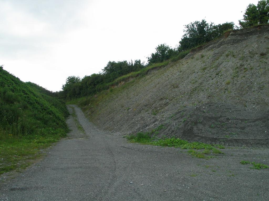 Site 3: Grid reference N26977 23048 Agall Quarry Agall, Blue Ball, Tullamore, The site is a large active quarry