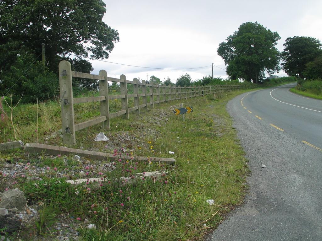 Site 2: Grid reference N6200 3096 Road side, Portarlington Road, Edenderry The site consists of a stretch of roadside gravel verge app.