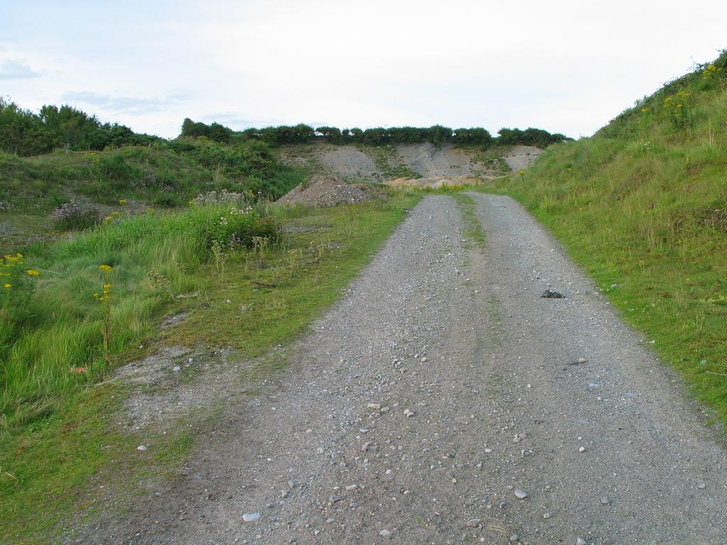 Site 3 Grid reference N2513 2251 Rabbitburrow, Church Hill, Blueball, Tullamore The site consists of a large disused sand quarry