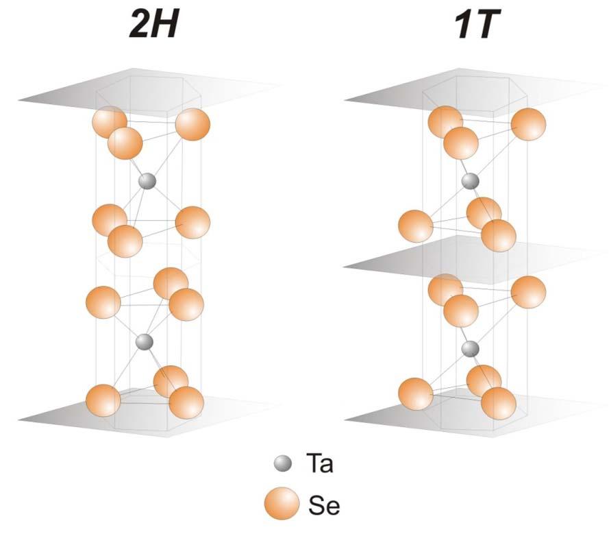TaSe 2 The crystal structure is strongly 2-dimensional with adjacent layers bonded with weak van