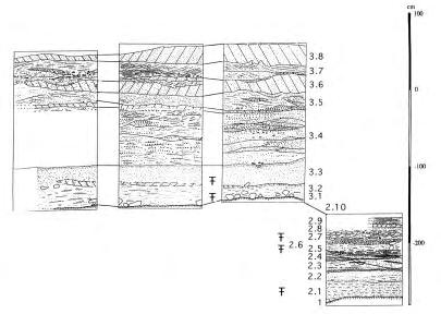 453 Fig. 4. Stratigraphy of Garba IV (after Kieffer et al. 2002).