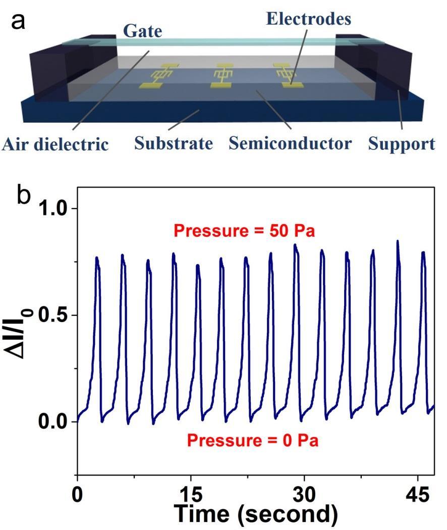 Supplementary Figure 10 Illustrative schematic and electric properties of SGOTFT without protective dielectric layer.