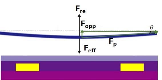 suspended gate. Thus, the deformation distance (y) is dependent on the effective force (F eff ), which contains components of all three forces.