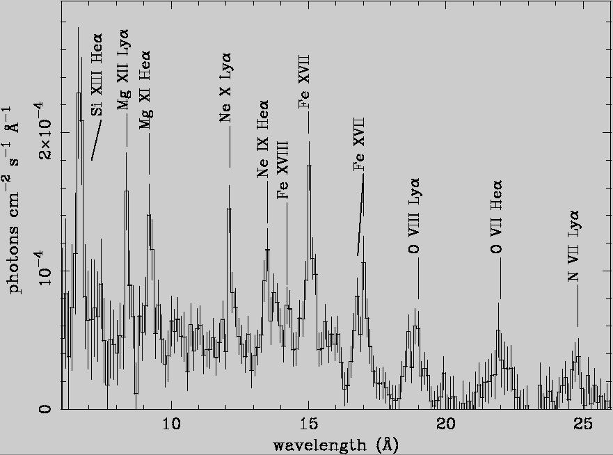XMM-Newton RGS spectra of NGC253 nuclear area RGS spectrum is