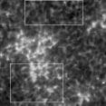 1.5 Chromospheric structure 17 Figure 1.8: Left: an example Ca II K image taken with the Swedish Vacuum Solar Telescope at La Palma (Löfdahl et al.