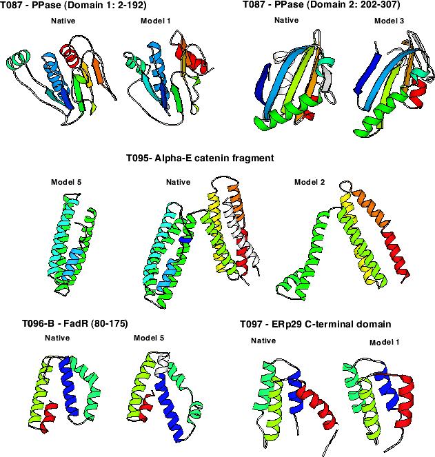 5 Structure comparison Given two three-dimensional protein structures, there are a number of reasons why we would like to compare them, e.g.: for classification purposes, i.e. to determine whether they probably have a common evolutionary origin and thus belong in the same family etc.