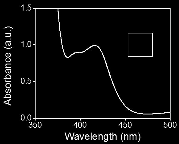 Figure S1. The UV-vis absorption spectrum of ABTS (2 mm) after incubating with nanoceria (50 µg/ml or 215 nm) overnight in a ph 4 acetate buffer (diluted 10 times for the measurement).