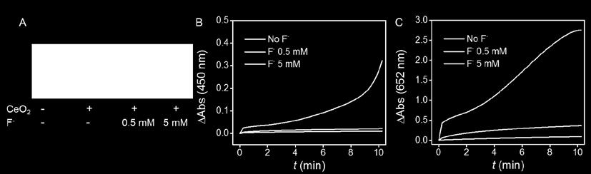 5 mm) catalyzed by nanoceria.