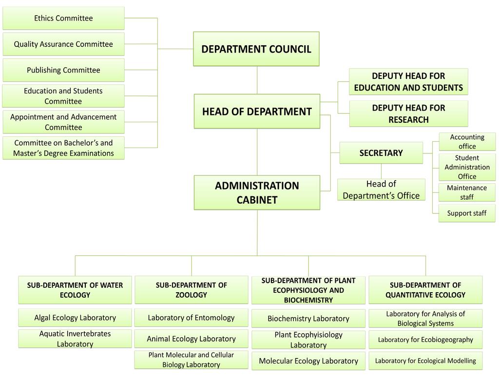 Internal organizational structure Figure 1.