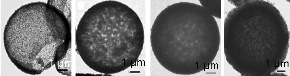 Controlled thickness of MnO 2 shells 0.01:1 0.02:1 0.