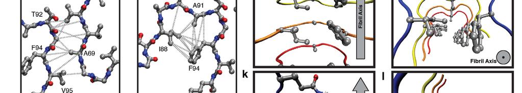 (g, h) Side and top views of the salt bridge from E46 to K80 of the neighboring monomer.