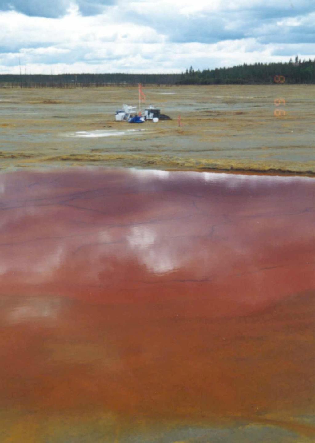 htm Fe(OH) 3 precipitates cause a rusty color in acid mine drainage waters.