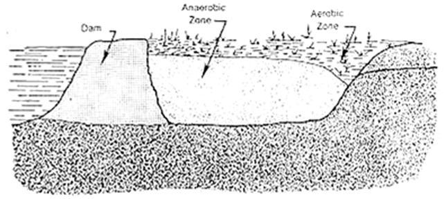 Artificial wetland as passive treatment of acid mine drainage.