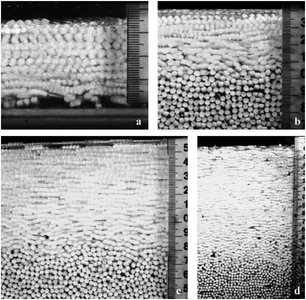 Fig. 2. Multiple exposure views of the flow as seen through the transparent sidewall of the flume (Larcher et al.