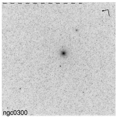 Nuclear Star Clusters [Gullieuszik et al.