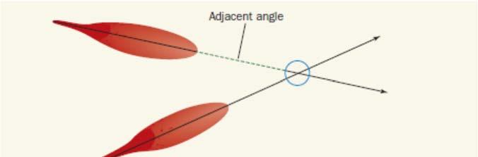 Recall the diagram of a right triangle.