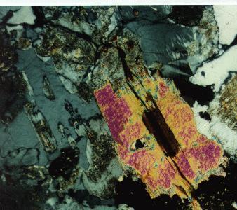 Fig. 13. Muscovite-biotite granodiorite showing possible muscovite (bright colored crystal) replacement of biotite (brown stringers and patches).