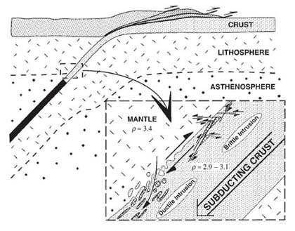 Mantle wedge The least known piece of the subduction factory Mantle-wedge peridotites emplace within subducting continental crust (Brueckner, 998; van Roermund et al.