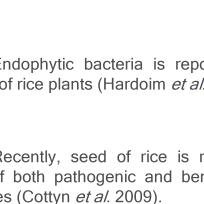 Reported effects of plant growth promoting rhizobacteria (PGPR) on rice.