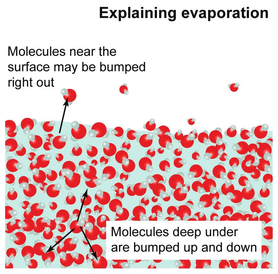 Dampen a surface with alcohol and it evaporates almost immediately. A surface wet with water stays wet for much longer. Why does evaporation occur?