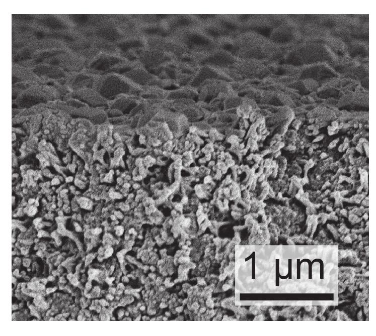 Figure S3: SEM images of composite membrane cross section after synthesis (Step 5). Influence of pore-size on the ZIF-8 crystal island incorporation into the pores.