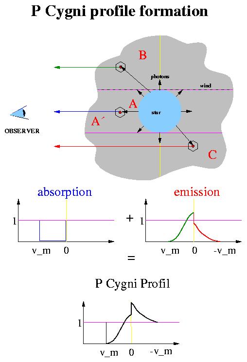Formation of P-Cygni line profile P CYGNI PROFILE - signature of an expanding stellar atmosphere Source: from homepage of J.