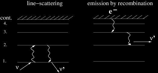 Processes for line formation in winds: Line scattering 