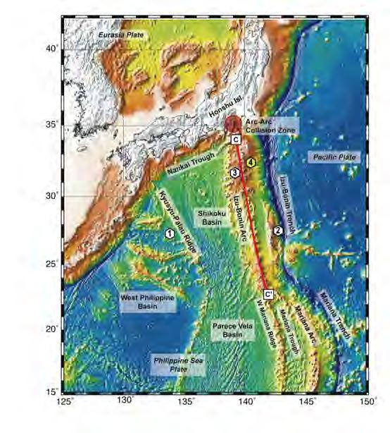 Continent formation today Island arc and Andean margins (convergent boundary) are recognized as the current sites of continental crust formation andesitic rocks in upper and middle layer of arc crust