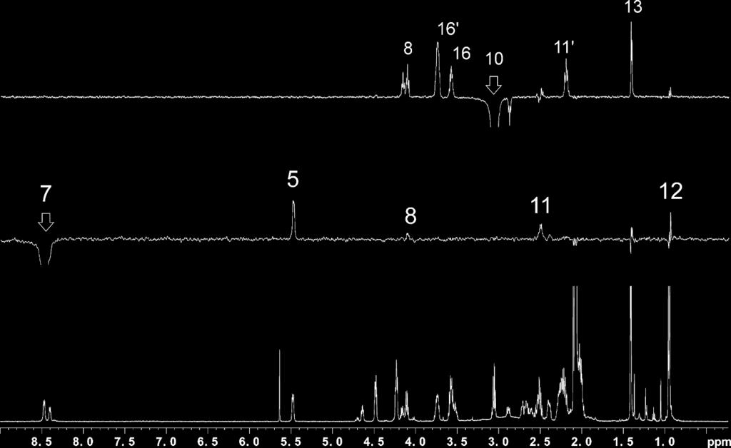 Relevant NMR assignments for the structural study of catalyst 4 in (CD 3 ) 2 CO Species II (60%) 4 (40%) Difference Numbering 1 H 13 C 1 H 13 C 1 H 13 C 2 4.27 55.46 3.53 46.38 0.70 9.08 5 5.47 67.