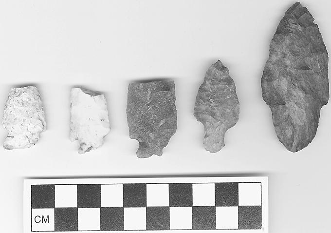 173 Figure 12.2. Hafted bifaces from the project area.