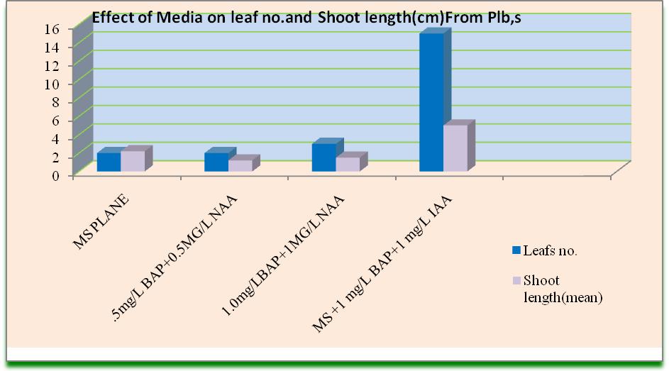 RESULTS AND DISCUSSION Then the primary and secondary developed shoots were transferred to concentration MS+1 mg/l BAP+1 mg/l IAA, 3.1±.24 (Shoot no.mean), 2.3+0.21.(Shoot length mean).