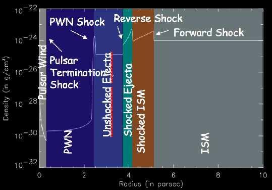 The position of the forward and reverse shocks that heat the CSM/ISM and ejecta are shown, along with that of the PWN shock that expands into cold ejecta, and that of the pulsar wind termination