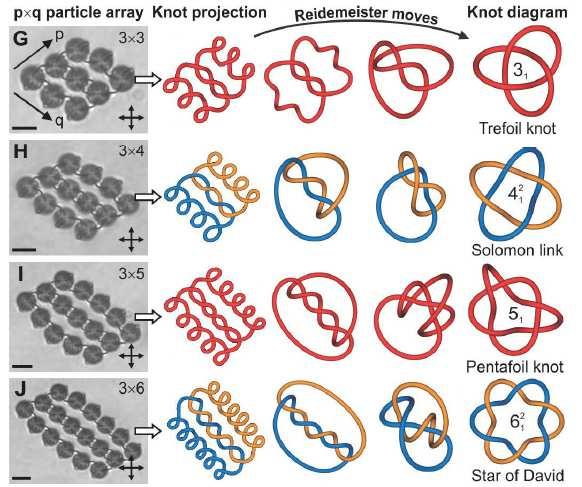 Torus knots and links Full series of torus knots and links can be assembled Classification after: V. V. Prasolov, A. B.