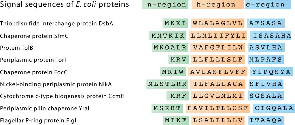 Figure S6 List of SRP-dependent signal sequences.