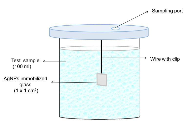 S4. Reactor fabrication with AgNP immobilized on glass substrate The reactor was prepared using 100 ml beaker and the top part was sealed with a circular acrylic sheet in which a single large hole of