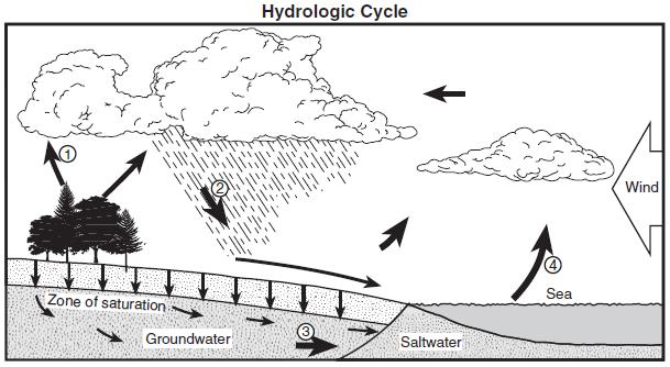 73. Base your answer to the following question on the water cycle diagram shown below. Some arrows are numbered 1 through 4 and represent various processes.