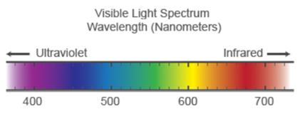 Visible Light Spectrum - Eye sensitivity has a maximum at around 555nm - Chlorophyll as a photon receiver, has maximum absorption at 400-500nm and 600-700nm, Chlorophyll needs to absorb these two