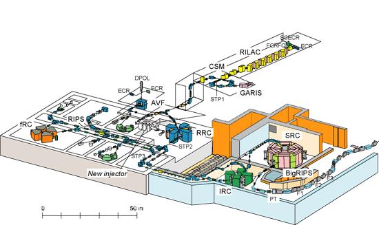 Facility & Detectors The BigRIPS Facility @ RIKEN Nishina Center, RIBF Primary Beams @ RIBF Beam Intensity / pna