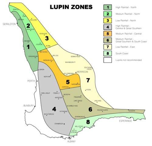 But we don t need early flowering elsewhere in Australia Long season environments (LSE) WA Lupin Agzones