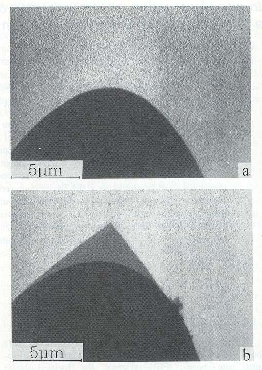 The Taylor Cone Shape Micrograph of a Au LMIS (off, upper
